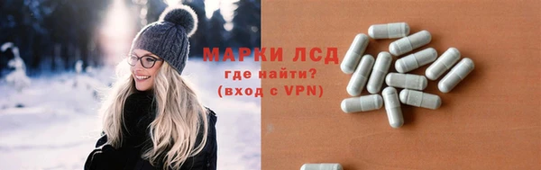 прущие грибы Арсеньев