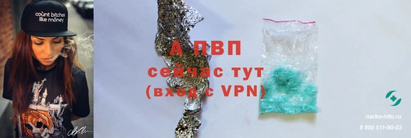 крисы Армянск