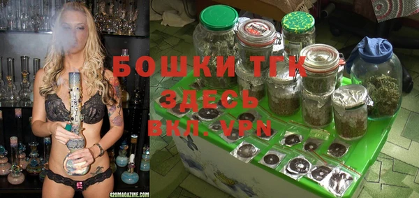 прущие грибы Арсеньев
