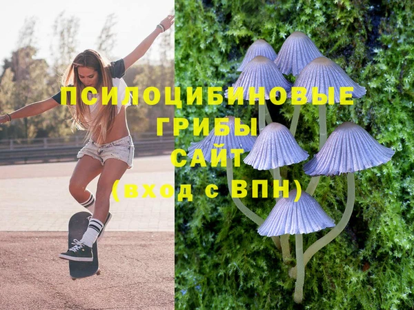 прущие грибы Арсеньев