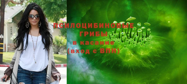 ешки Алексин